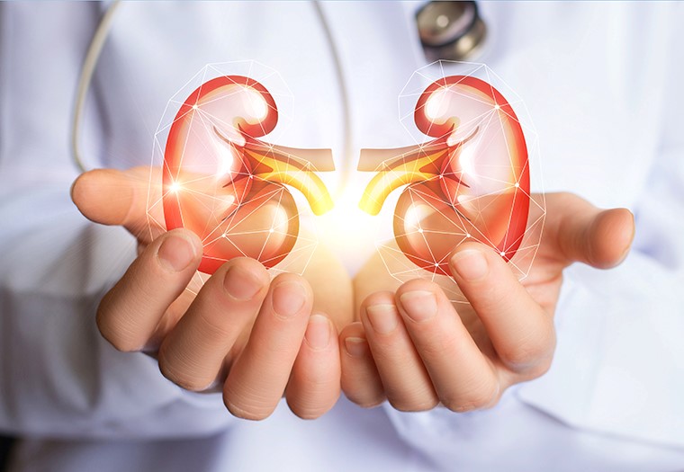 Ovogodišnji slogan Svjetskog dana bubrega je - Dobro živjeti s bubrežnom bolešću